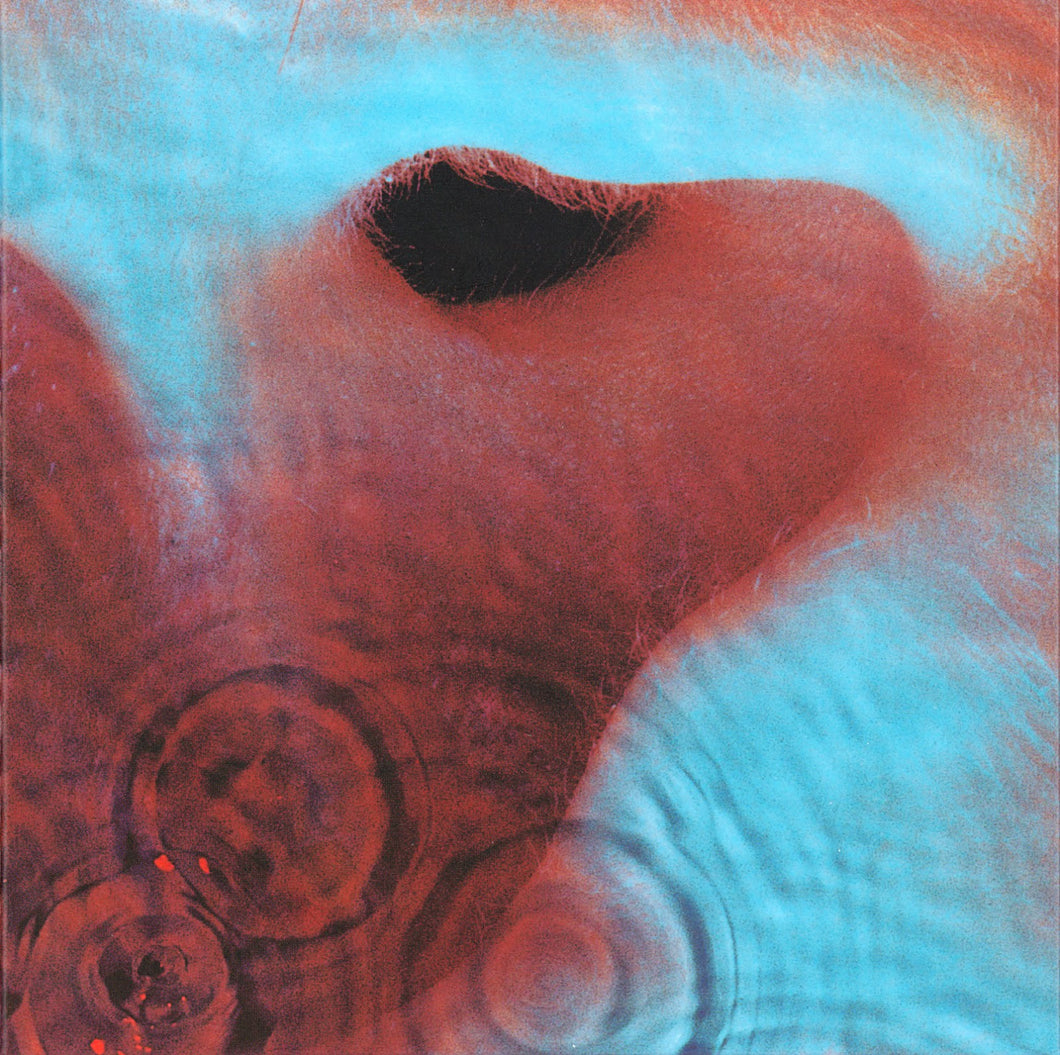 Pink Floyd-Meddle